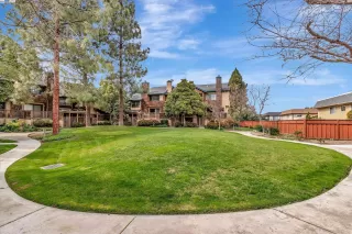 Photo #2: 41052632 Listing