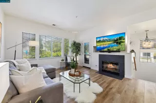 Photo #1: 41052650 Listing 