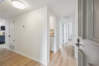 Photo #1: 41052823 Listing