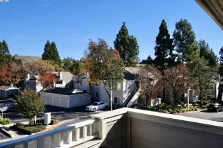 Photo #4: 41052829 Listing