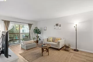 Photo #1: 41052852 Listing 