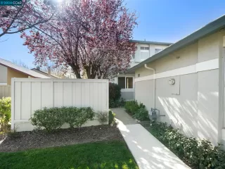 Photo #2: 41052884 Listing