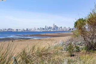 Photo #1: 41052893 Listing 