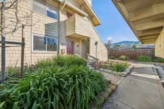 Photo #1: 41052920 Listing 