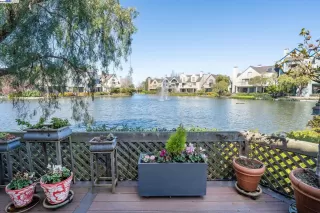 Photo #4: 41052940 Listing