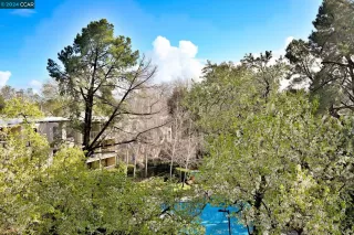 Photo #5: 41053021 Listing