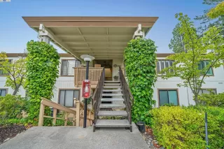 Photo #1: 41053131 Listing 