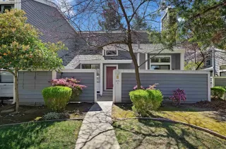 Photo #1: 41053416 Listing