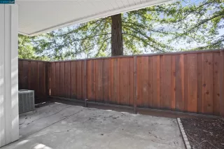 Photo #6: 41053446 Listing 