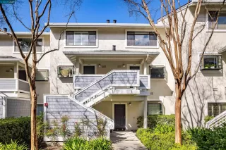 Photo #2: 41053509 Listing 