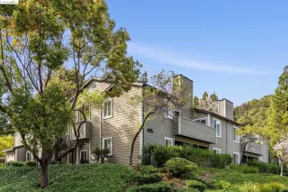 Photo #1: 41053615 Listing