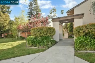 Photo #1: 41053831 Listing