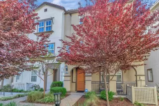 Photo #1: 41053853 Listing