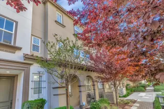 Photo #2: 41053853 Listing