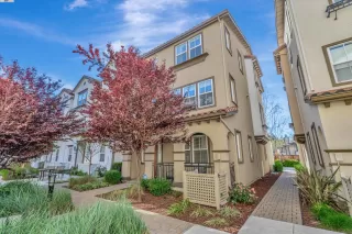 Photo #4: 41053853 Listing