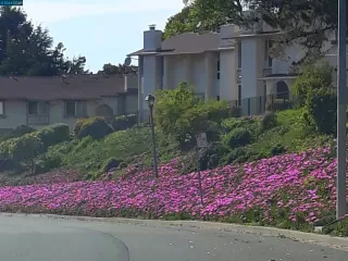 Photo #3: 41053886 Listing