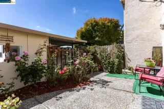 Photo #4: 41053886 Listing