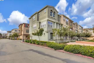 Photo #1: 41053952 Listing