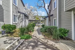 Photo #1: 41053977 Listing 