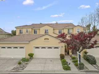 Photo #1: 41054161 Listing