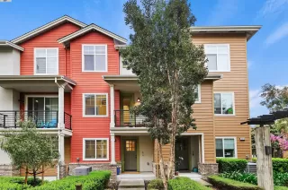 Photo #1: 41054315 Listing