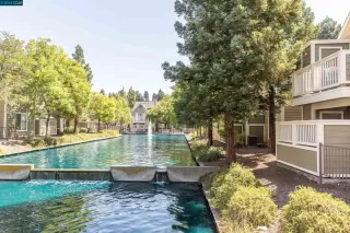 Photo #4: 41054353 Listing