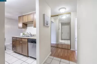 Photo #1: 41054359 Listing 