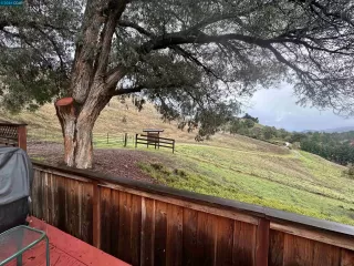 Photo #1: 41054439 Listing