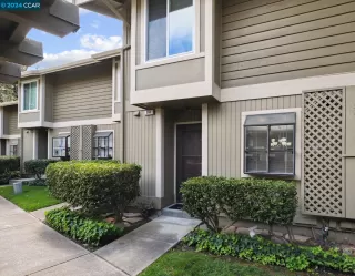 Photo #1: 41054497 Listing