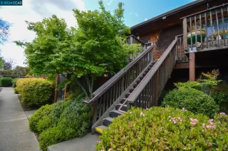 Photo #1: 41054517 Listing