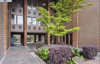 Photo #2: 41054640 Listing 