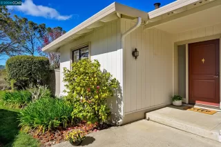 Photo #5: 41054673 Listing