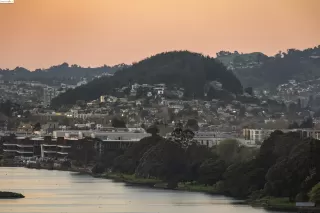 Photo #3: 41054758 Listing