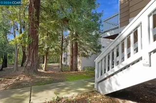 Photo #3: 41054829 Listing