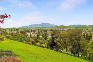 Photo #1: 41054938 Listing 