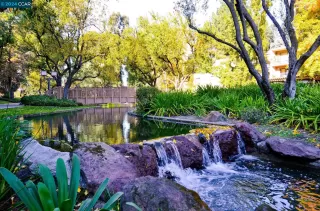 Photo #2: 41055016 Listing 