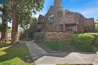 Photo #2: 41055104 Listing 