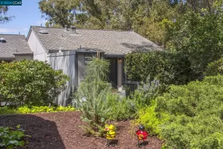 Photo #1: 41055328 Listing