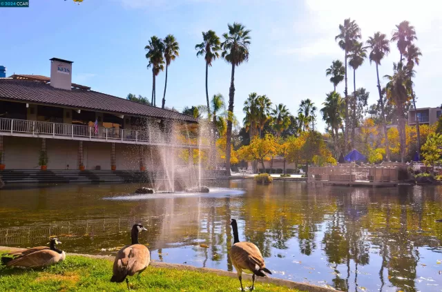 MLS: 41055396 Condo For Sale