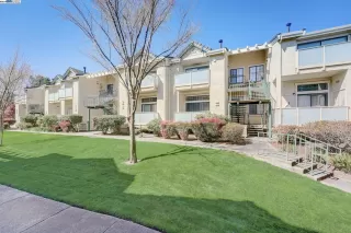 Photo #1: 41055409 Listing