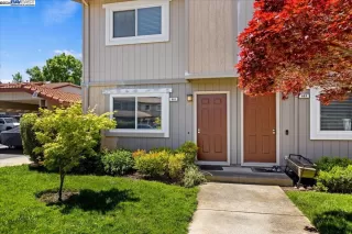 Photo #1: 41055681 Listing 