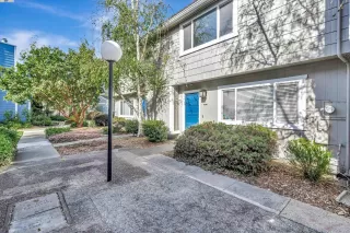 Photo #2: 41055843 Listing