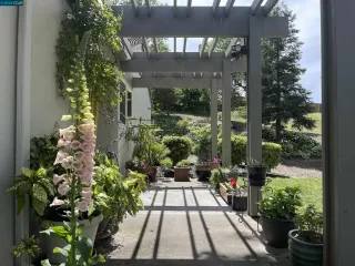Photo #3: 41055907 Listing