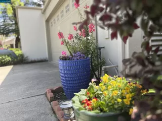 Photo #5: 41055907 Listing