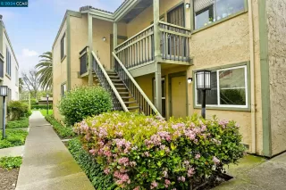 Photo #1: 41055909 Listing