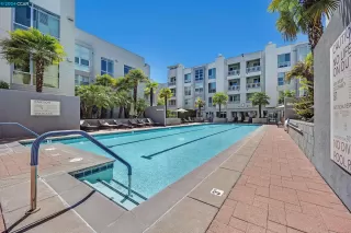 Photo #1: 41056023 Listing