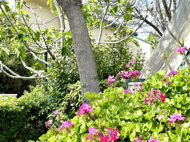 MLS: 41056143 Condo For Sale