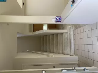 Photo #5: 41056172 Listing