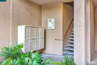 Photo #4: 41056183 Listing