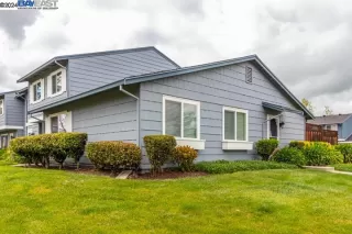 Photo #1: 41056343 Listing